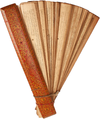 palm leaf